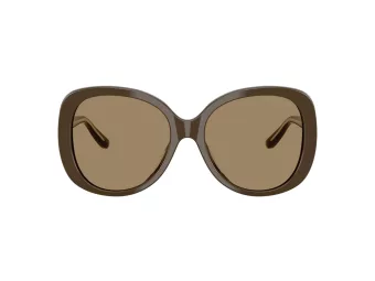 Giorgio Armani Aurinkolasit AR 8229U 595753