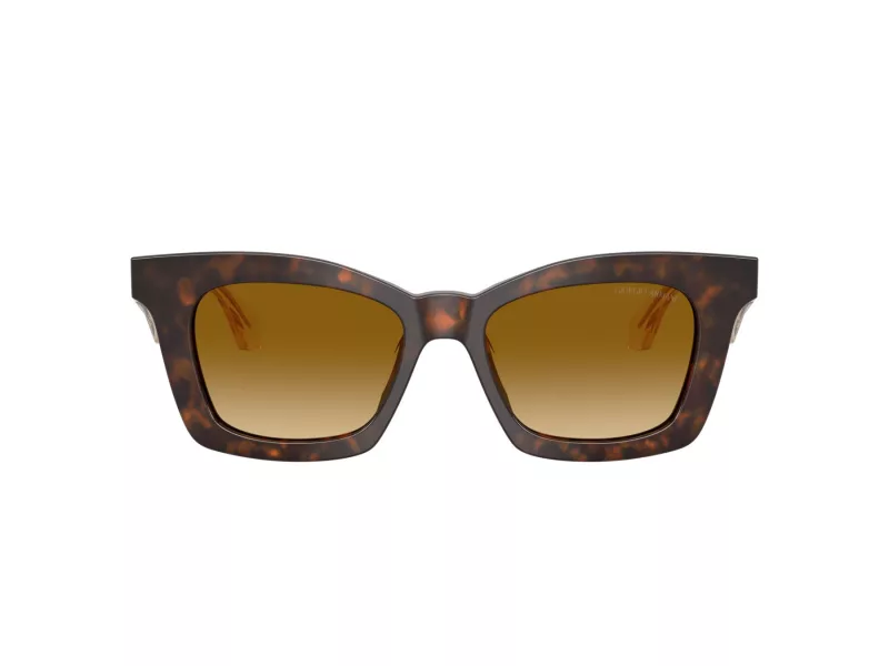 Giorgio Armani Aurinkolasit AR 8235U 62312L