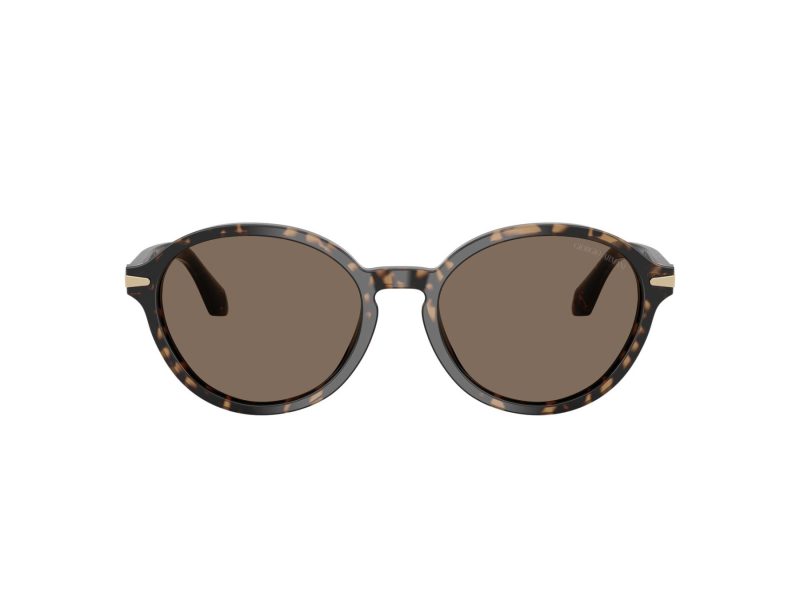 Giorgio Armani Aurinkolasit AR 8237 623573