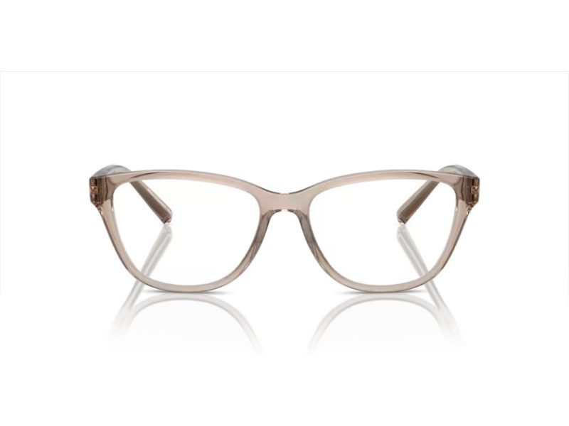 Armani Exchange Silmalasit AX 3111U 8344