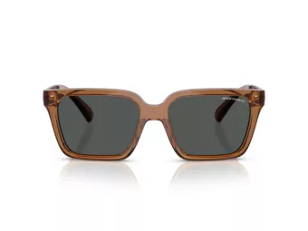 Armani Exchange Aurinkolasit AX 4147S 835887