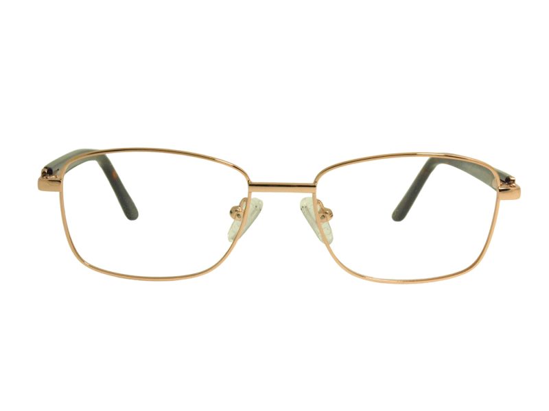 Berkeley Silmalasit BB Y_MO42 C2