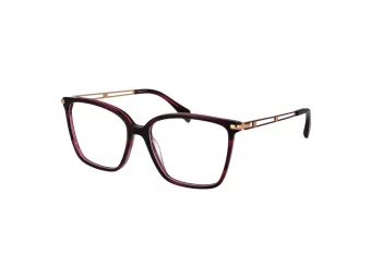Bulget Silmalasit BG 6557 E02