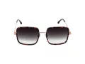 Bulget Aurinkolasit BG Y3006 G22