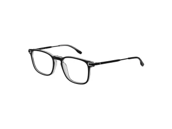 Bulget Silmalasit BG Y6008 H01