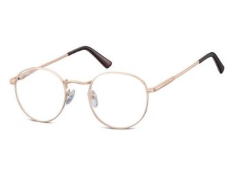 Berkeley Tietokonelasit 604 F