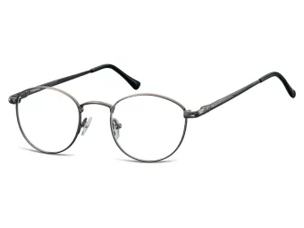 Berkeley Tietokonelasit 793A