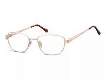 Berkeley Tietokonelasit 796 C