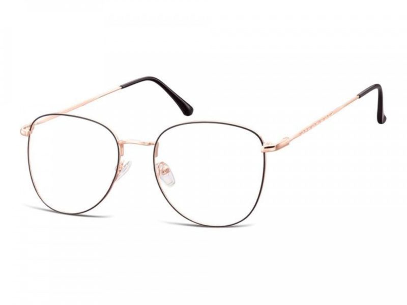 Berkeley Tietokonelasit 924B