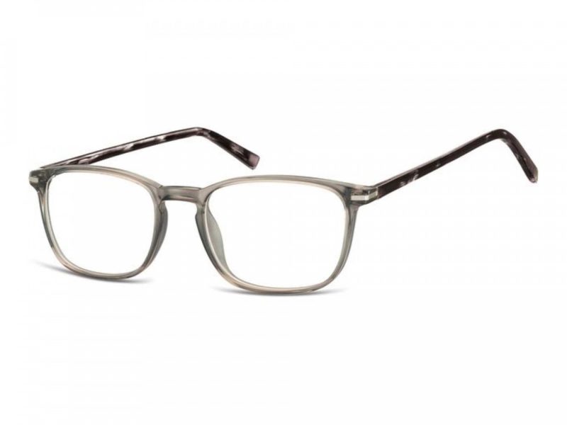 Berkeley Tietokonelasit CP120A