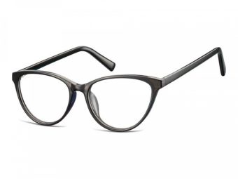 Berkeley Tietokonelasit CP127E