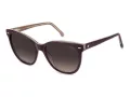 Carrera Aurinkolasit CA 3043/S 0T7/HA