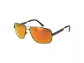 Champion Aurinkolasit CU 5131 C01
