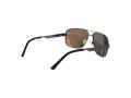 Champion Aurinkolasit CU 5131 C01