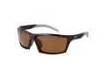 Champion Aurinkolasit CU 5142 C04
