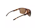 Champion Aurinkolasit CU 5150 C03
