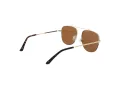 Champion Aurinkolasit CU 5151 C01