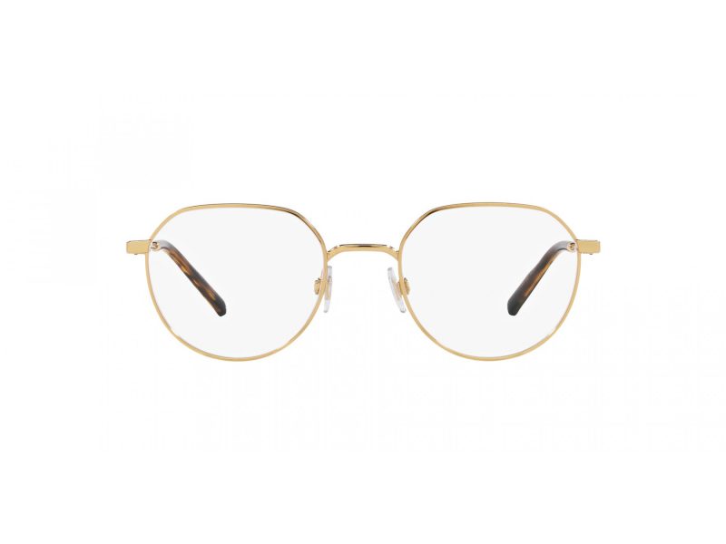 Dolce & Gabbana Silmalasit DG 1349 02