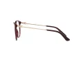 Dolce & Gabbana Silmalasit DG 3363 3091