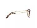 Dolce & Gabbana Silmalasit DG 3363 502