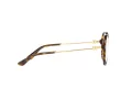 Dolce & Gabbana Silmalasit DG 3364 502
