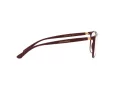 Dolce & Gabbana Silmalasit DG 5026 3247