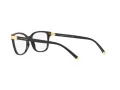 Dolce & Gabbana Silmalasit DG 5036 501