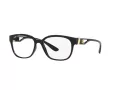 Dolce & Gabbana Silmalasit DG 5066 501