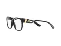 Dolce & Gabbana Silmalasit DG 5066 501