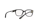 Dolce & Gabbana Silmalasit DG 5066 501