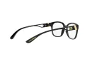 Dolce & Gabbana Silmalasit DG 5066 501