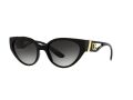 Dolce & Gabbana Aurinkolasit DG 6146 501/8G