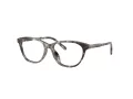 Dolce & Gabbana Kids Silmalasit DX 3002 3443
