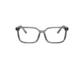 Dolce & Gabbana Kids Silmalasit DX 3003 3482