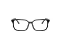 Dolce & Gabbana Kids Silmalasit DX 3003 501