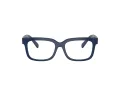 Dolce & Gabbana Kids Silmalasit DX 5002 3094
