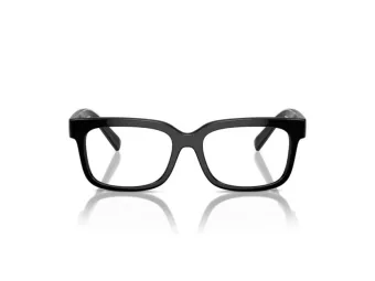 Dolce & Gabbana Kids Silmalasit DX 5002 501