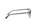 Emporio Armani Silmalasit EA 1114 3001