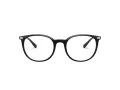 Emporio Armani Silmalasit EA 3168 5001