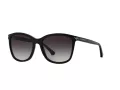 Emporio Armani Aurinkolasit EA 4060 50178G
