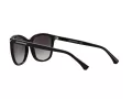 Emporio Armani Aurinkolasit EA 4060 50178G