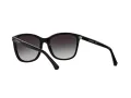 Emporio Armani Aurinkolasit EA 4060 50178G