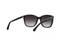 Emporio Armani Aurinkolasit EA 4060 50178G