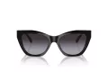 Emporio Armani Aurinkolasit EA 4176 50178G