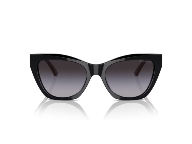 Emporio Armani Aurinkolasit EA 4176 50178G