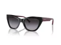 Emporio Armani Aurinkolasit EA 4176 50178G