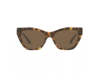 Emporio Armani Aurinkolasit EA 4176 502573