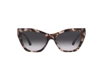 Emporio Armani Aurinkolasit EA 4176 54108G