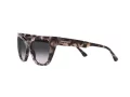 Emporio Armani Aurinkolasit EA 4176 54108G