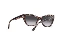 Emporio Armani Aurinkolasit EA 4176 54108G